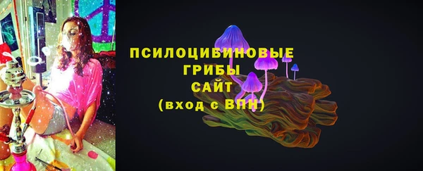 СК Алексеевка