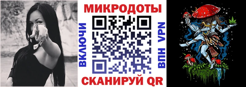 что такое Вилючинск Галлюциногенные грибы Psilocybine cubensis